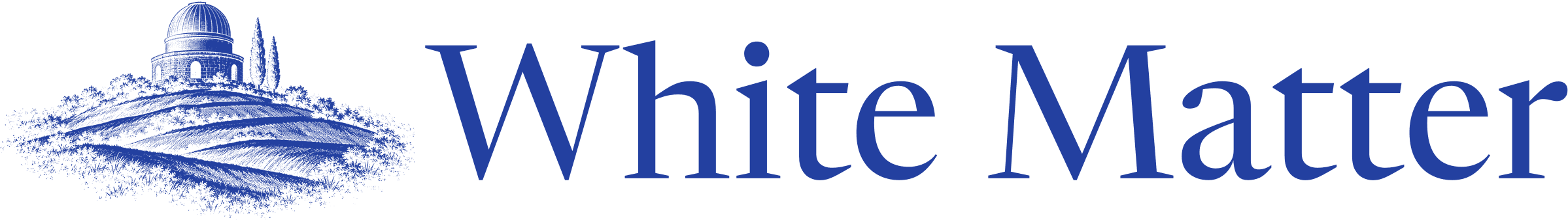 White Matter